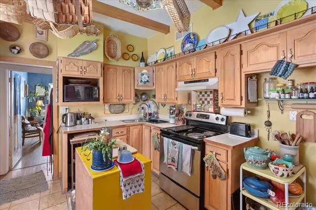 1040 D STREET Salida, CO 81201