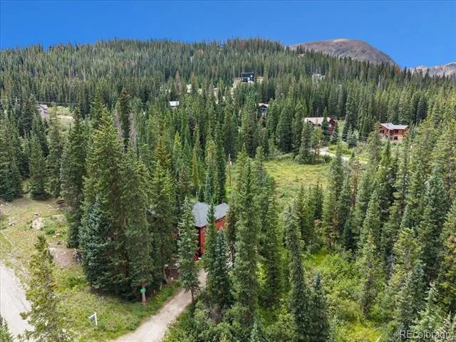 107 SCR 675 Breckenridge, CO 80424