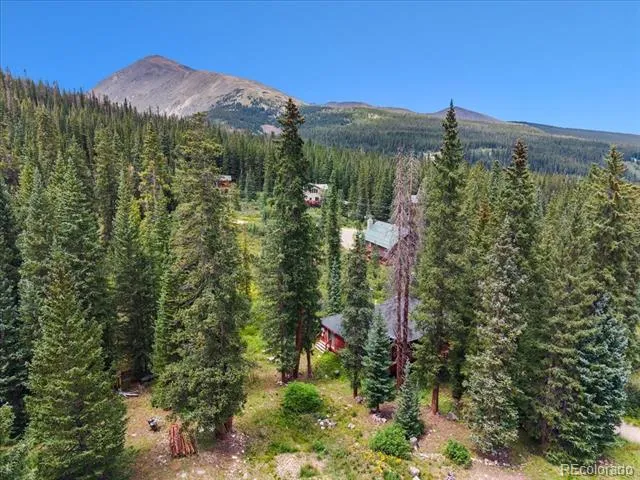 107 SCR 675 Breckenridge, CO 80424