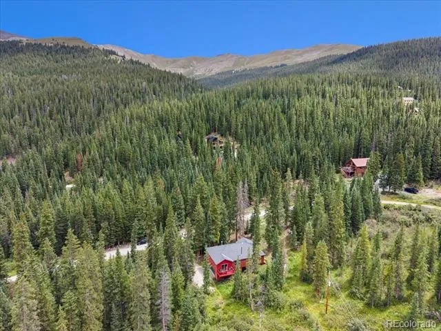 107 SCR 675 Breckenridge, CO 80424