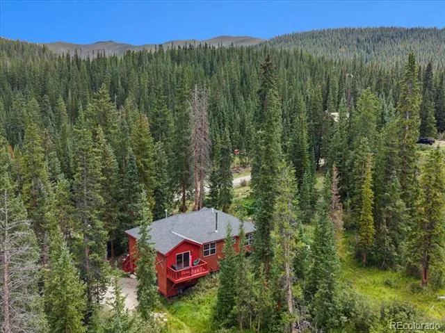 107 SCR 675 Breckenridge, CO 80424