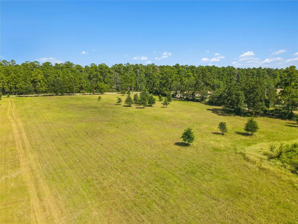 18957 Bethel Rd Richards, TX 77873