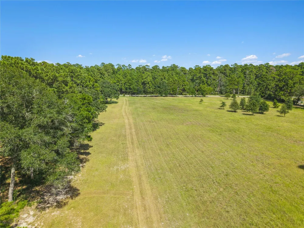 18957 Bethel Rd Richards, TX 77873