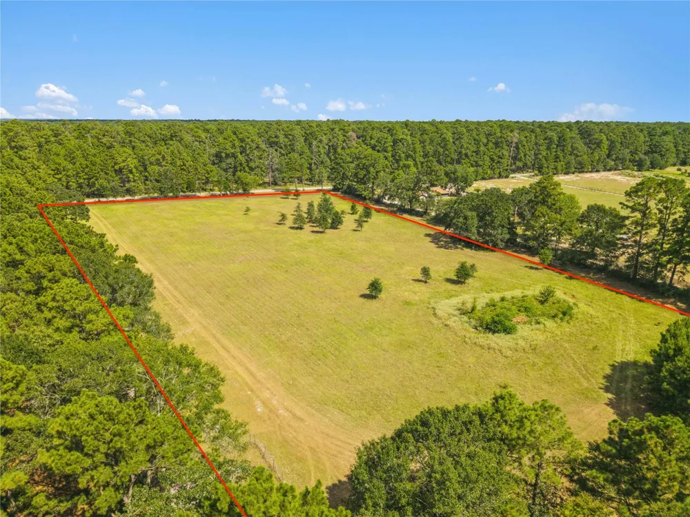 18957 Bethel Rd Richards, TX 77873