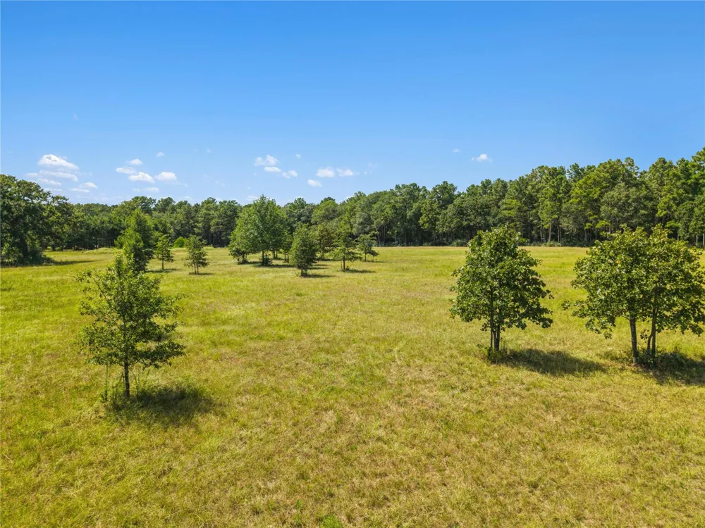 18957 Bethel Rd Richards, TX 77873