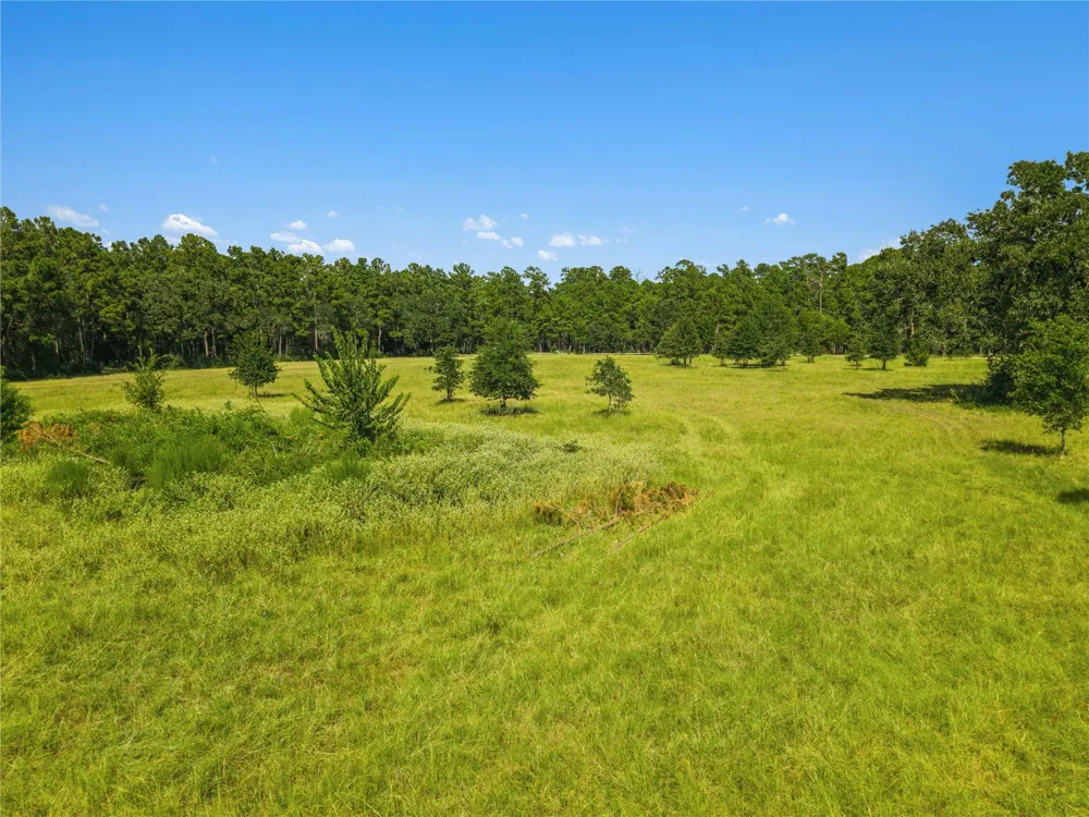 18957 Bethel Rd Richards, TX 77873