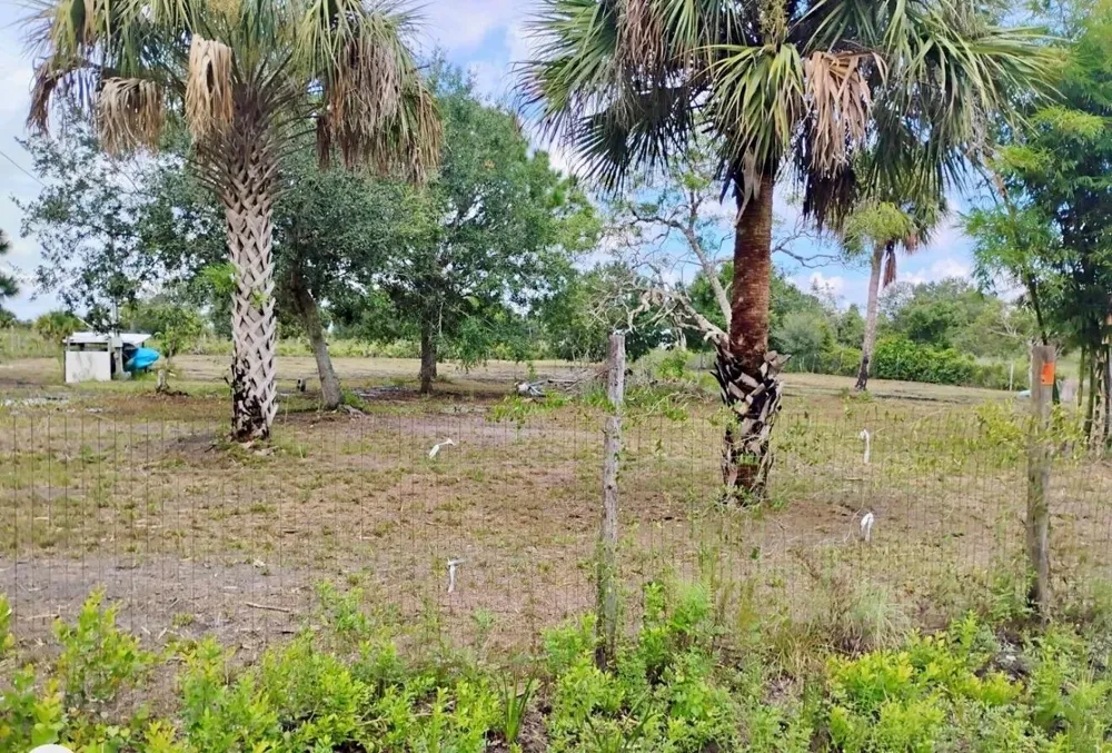 15313 NW 310TH STREET Okeechobee, FL 34972