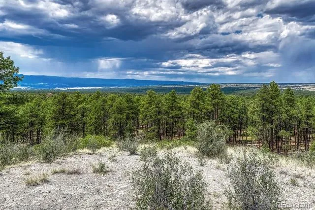 6435 Burgess Road Colorado Springs, CO 80908