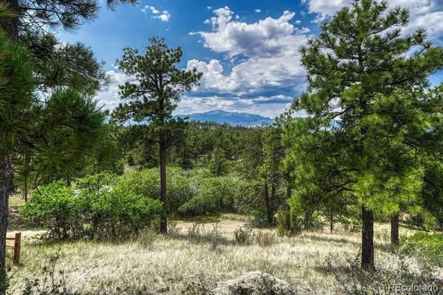 6435 Burgess Road Colorado Springs, CO 80908