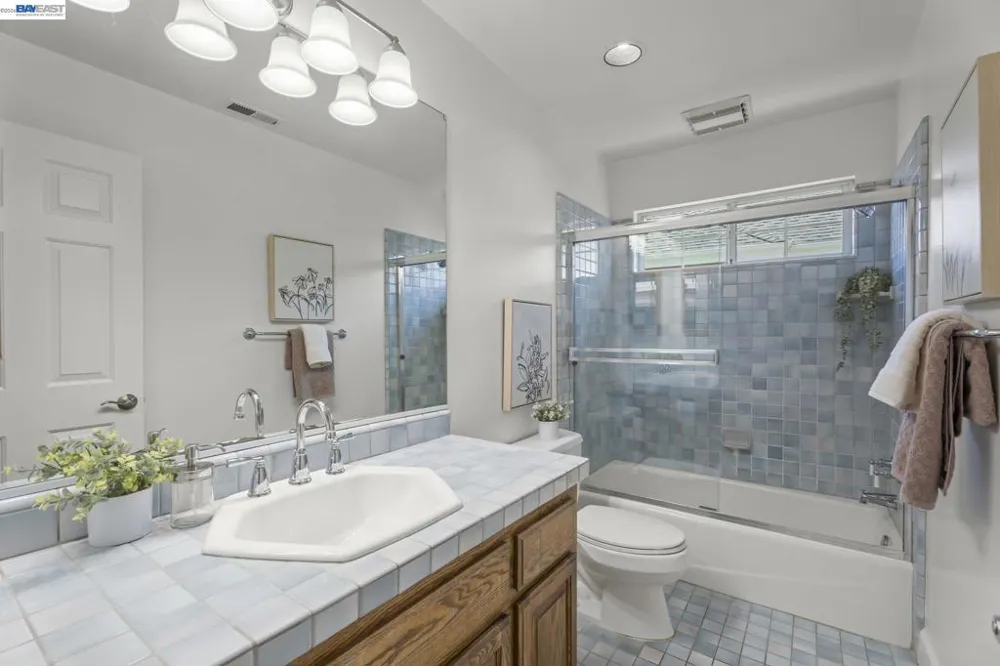 313 Diamond Ct Pleasanton, CA 94566