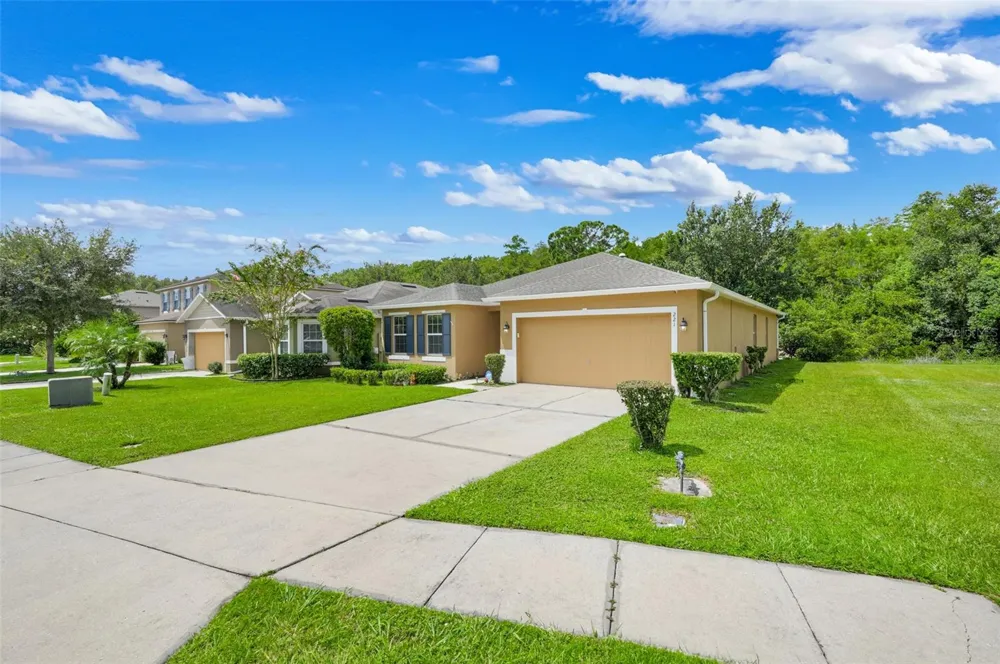 221 DAIGLEDOG STREET St Cloud, FL 34772