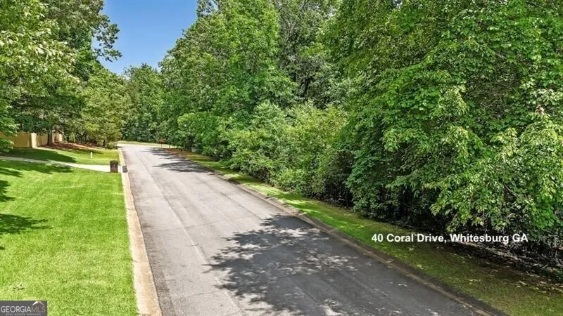 40 Coral DR Whitesburg, GA 30185