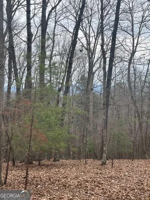0 Brumby RUN Blairsville, GA 30512