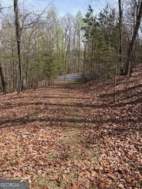 0 Brumby RUN Blairsville, GA 30512