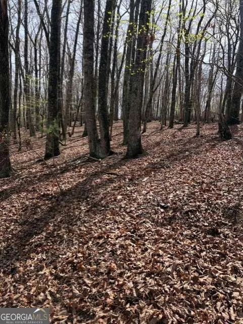 0 Brumby RUN Blairsville, GA 30512