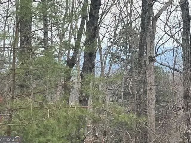 0 Brumby RUN Blairsville, GA 30512