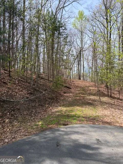 0 Brumby RUN Blairsville, GA 30512