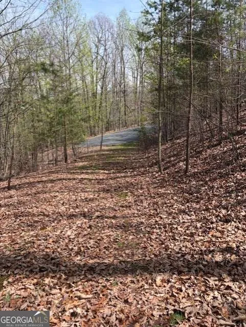 0 Brumby RUN Blairsville, GA 30512