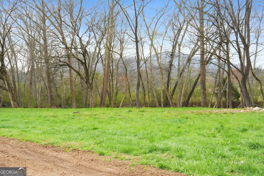 605 Lynch Mountain RD Sautee Nacoochee, GA 30571