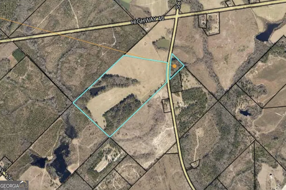 0 Scotland RD Alamo, GA 30411