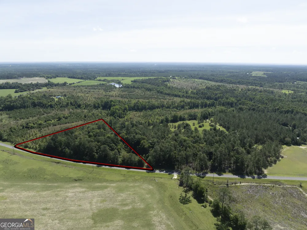 0 Scotland RD Alamo, GA 30411