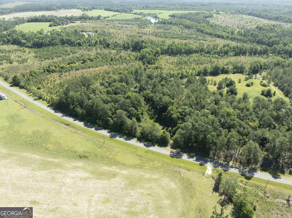 0 Scotland RD Alamo, GA 30411
