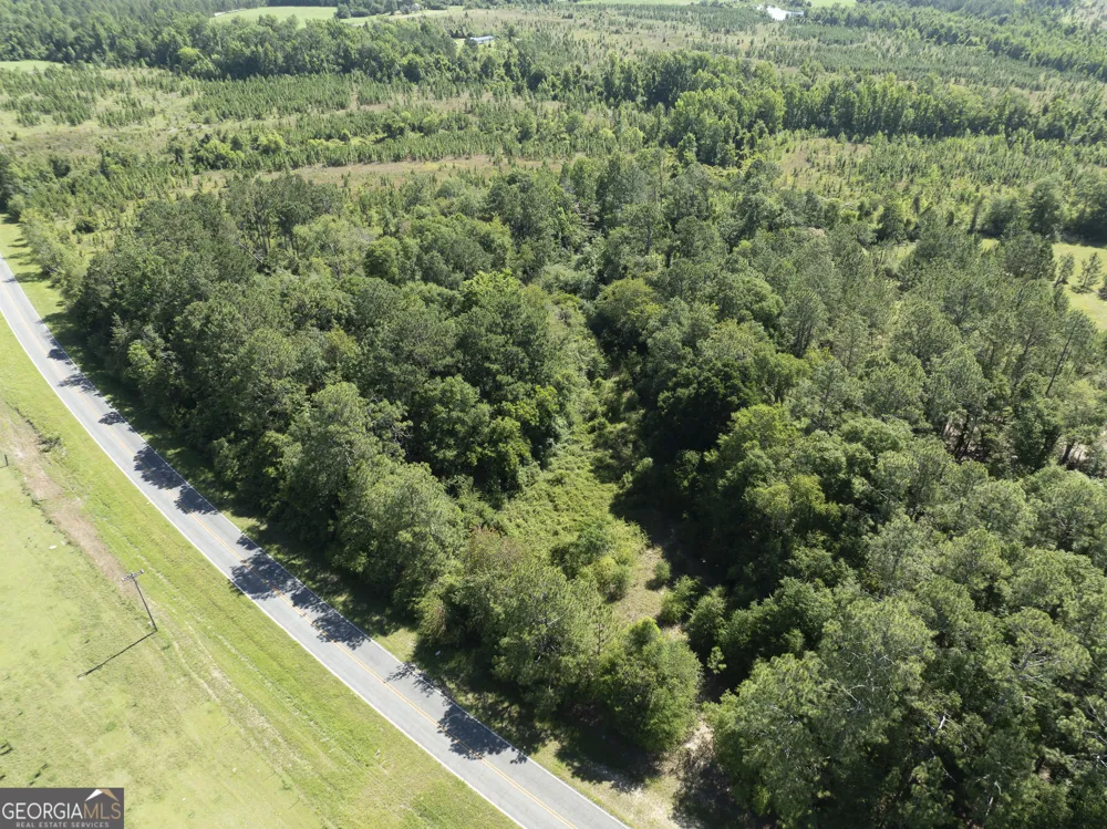 0 Scotland RD Alamo, GA 30411
