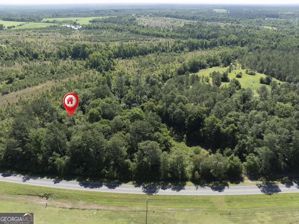 0 Scotland RD Alamo, GA 30411