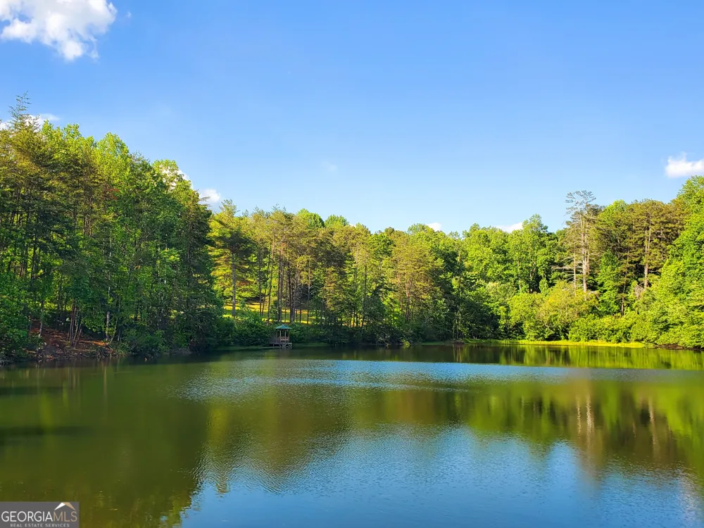 314 Skyview CIR Clarkesville, GA 30523