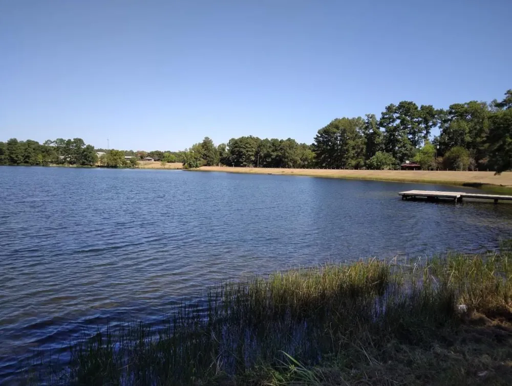 10731 Royal Terrell Drive Conroe, TX 77303