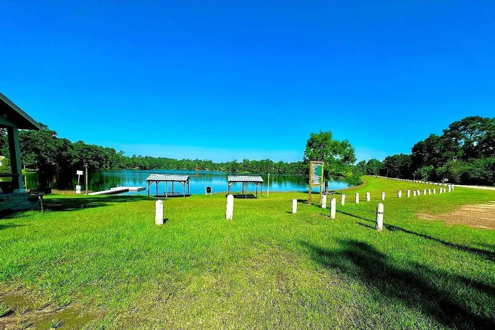 10731 Royal Terrell Drive Conroe, TX 77303