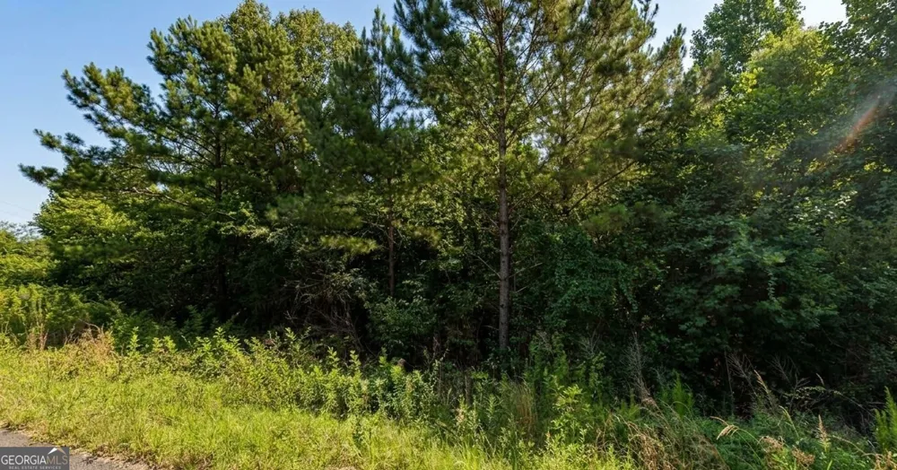 0 County Road 367 Crane Hill, AL 35053