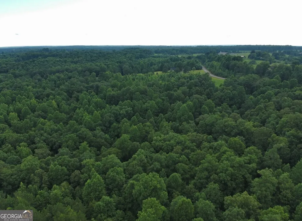 0 County Road 367 Crane Hill, AL 35053
