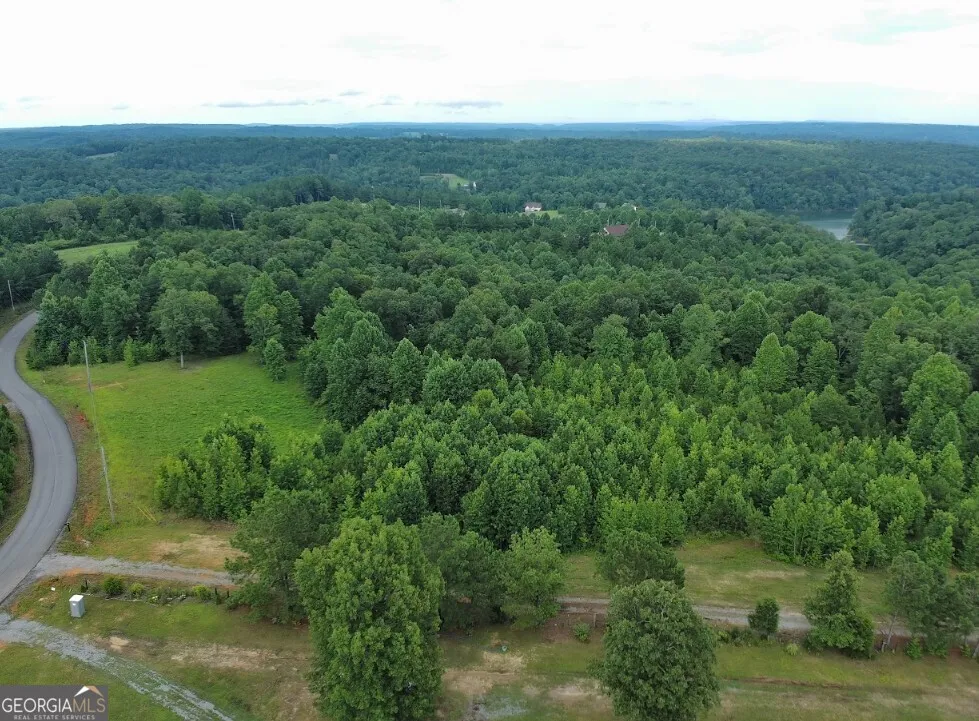 0 County Road 367 Crane Hill, AL 35053