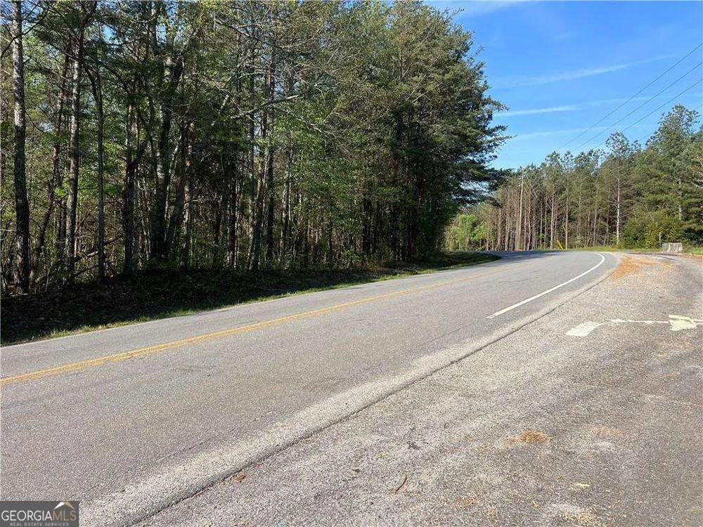 6425 Anderson Lake RD Dawsonville, GA 30534