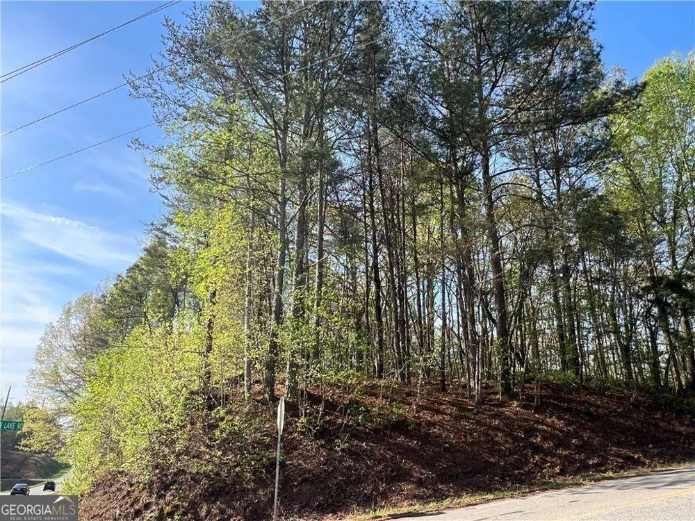 6425 Anderson Lake RD Dawsonville, GA 30534
