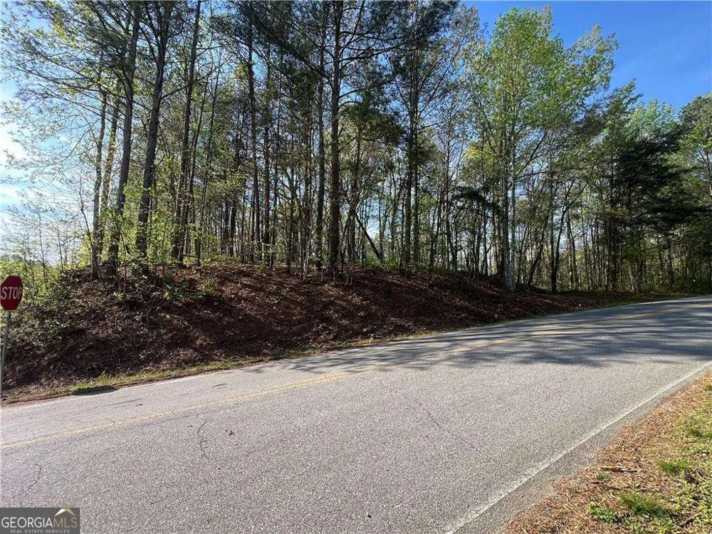 6425 Anderson Lake RD Dawsonville, GA 30534
