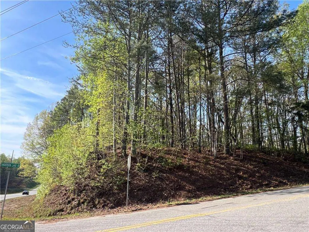 6425 Anderson Lake RD Dawsonville, GA 30534