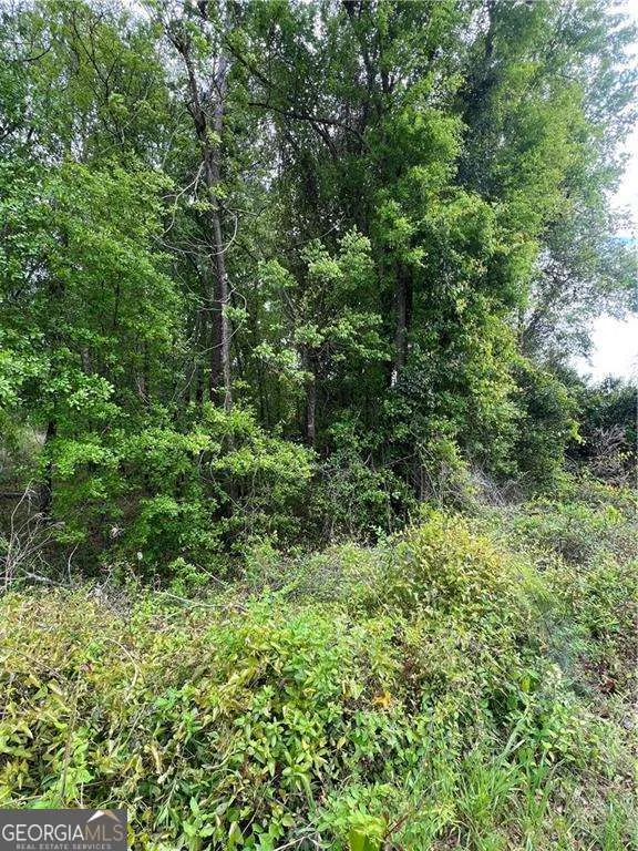 0 S M L K Jr BLVD Americus, GA 31719