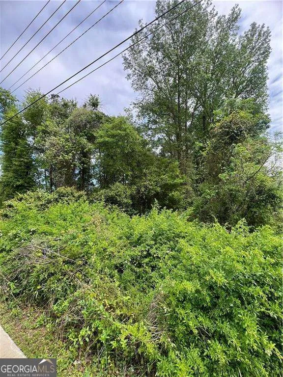 0 S M L K Jr BLVD Americus, GA 31719
