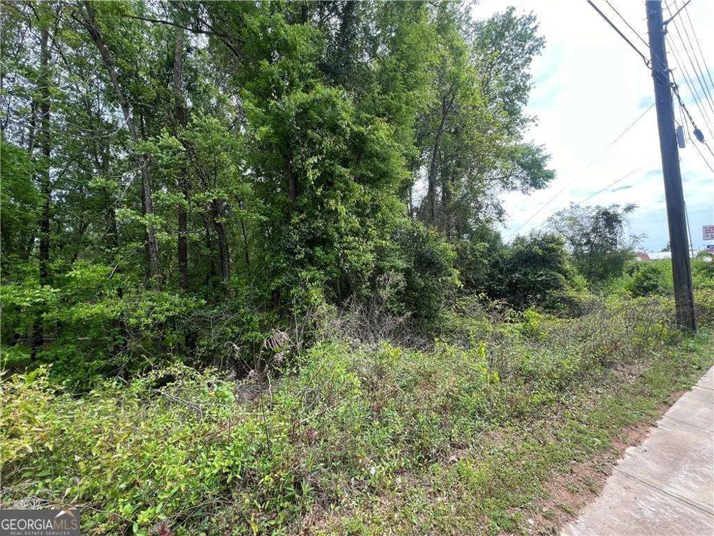 0 S M L K Jr BLVD Americus, GA 31719