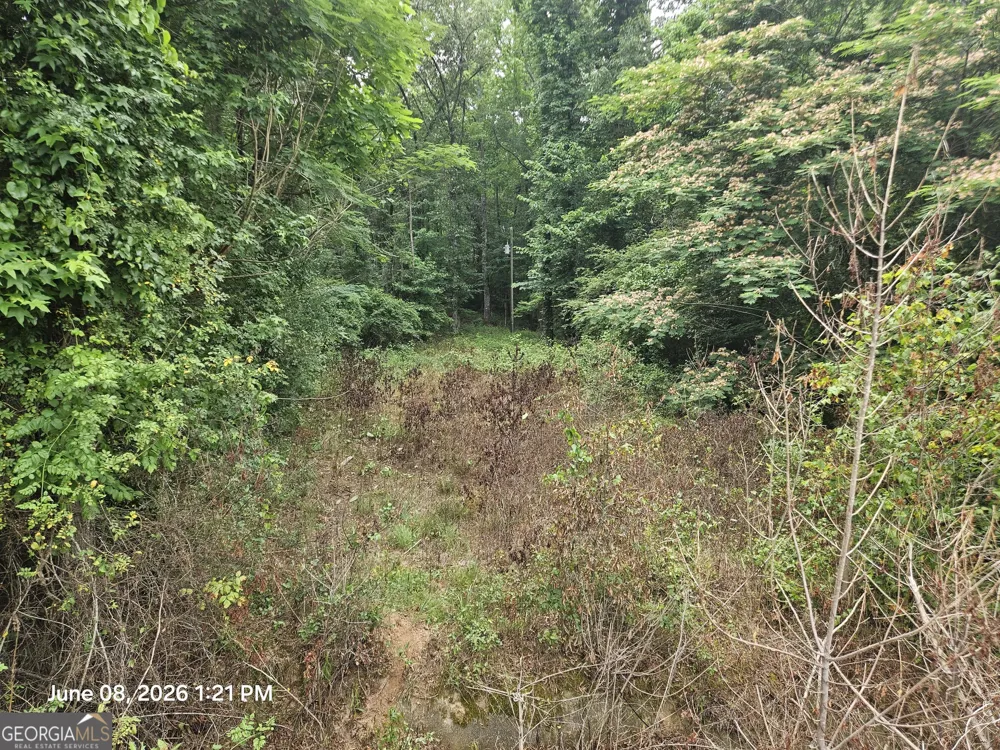 0 Davis RD Macon, GA 31217