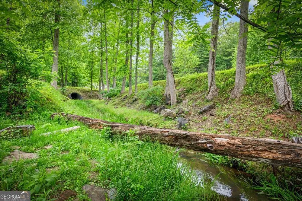 1898 Kimsey Dairy RD Turtletown, TN 37391