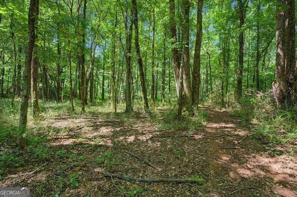 1381 Star Point RD Carrollton, GA 30116