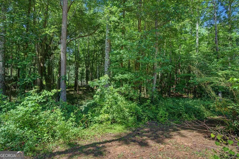 1381 Star Point RD Carrollton, GA 30116