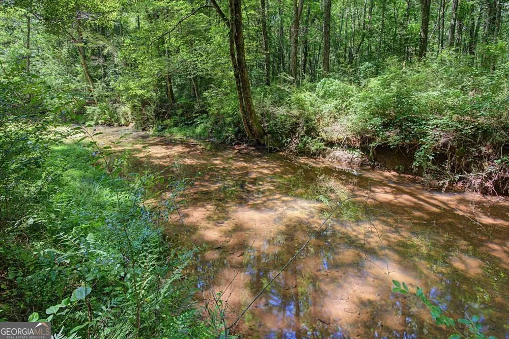 1381 Star Point RD Carrollton, GA 30116
