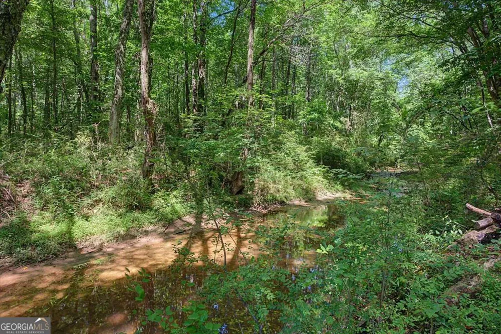 1381 Star Point RD Carrollton, GA 30116