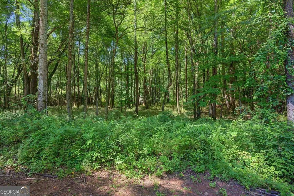 1381 Star Point RD Carrollton, GA 30116