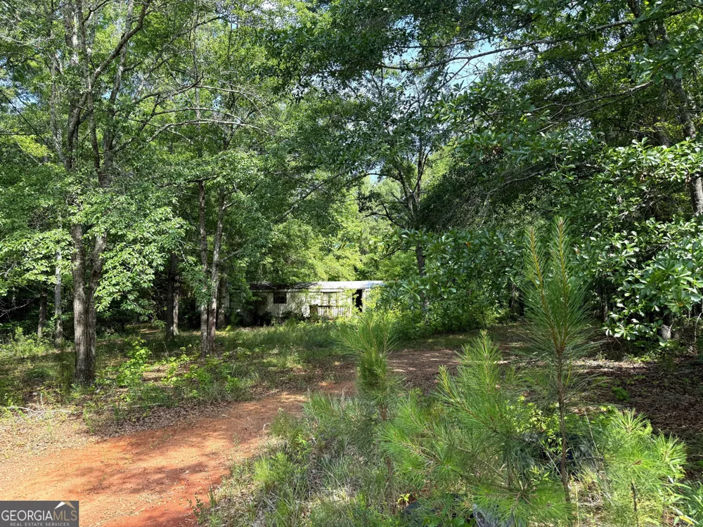3 ACRES Chalybeate RD Manchester, GA 31816