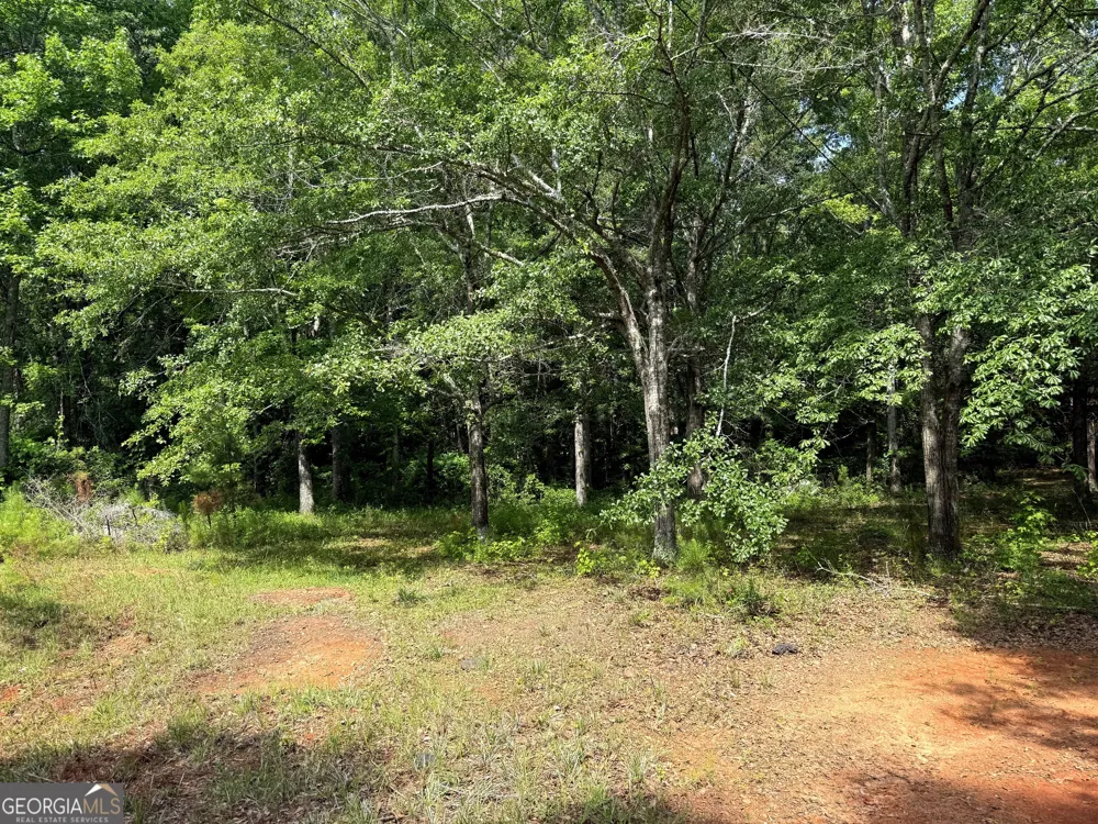 3 ACRES Chalybeate RD Manchester, GA 31816